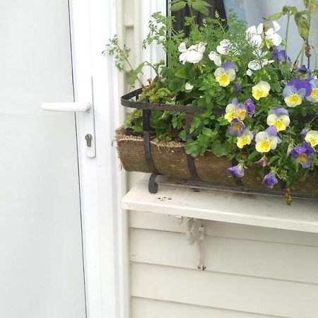 Geranium Cottage-Mt Taranaki Stratford Ngoại thất bức ảnh