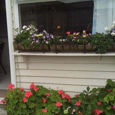 Geranium Cottage-Mt Taranaki Stratford Ngoại thất bức ảnh